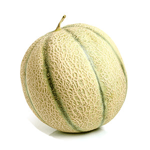 image for crop 'Melone (Zuckermelone)'