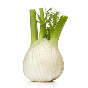 image for crop 'Knollenfenchel'
