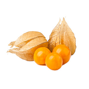image for crop 'Physalis'