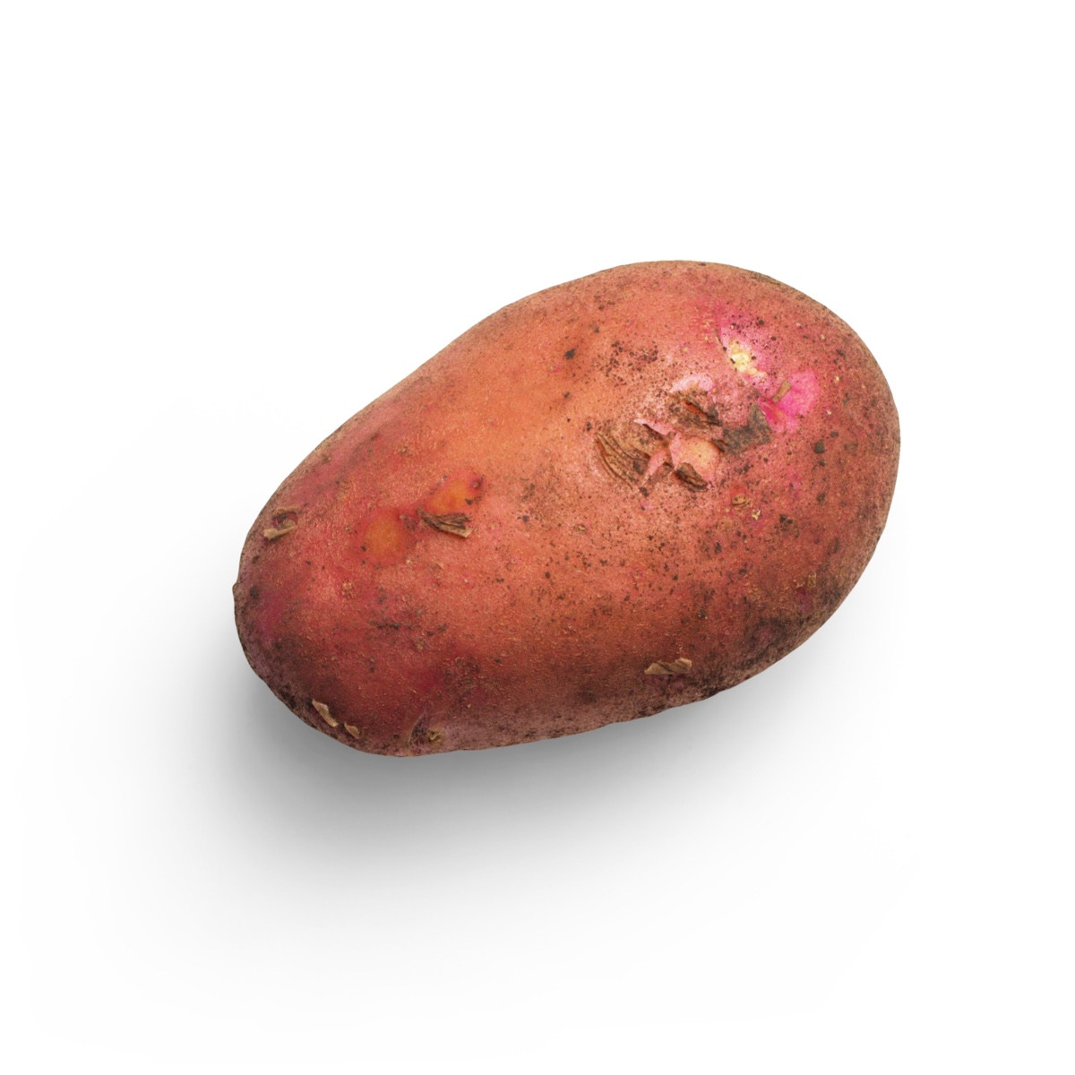 image for crop 'Süßkartoffel '