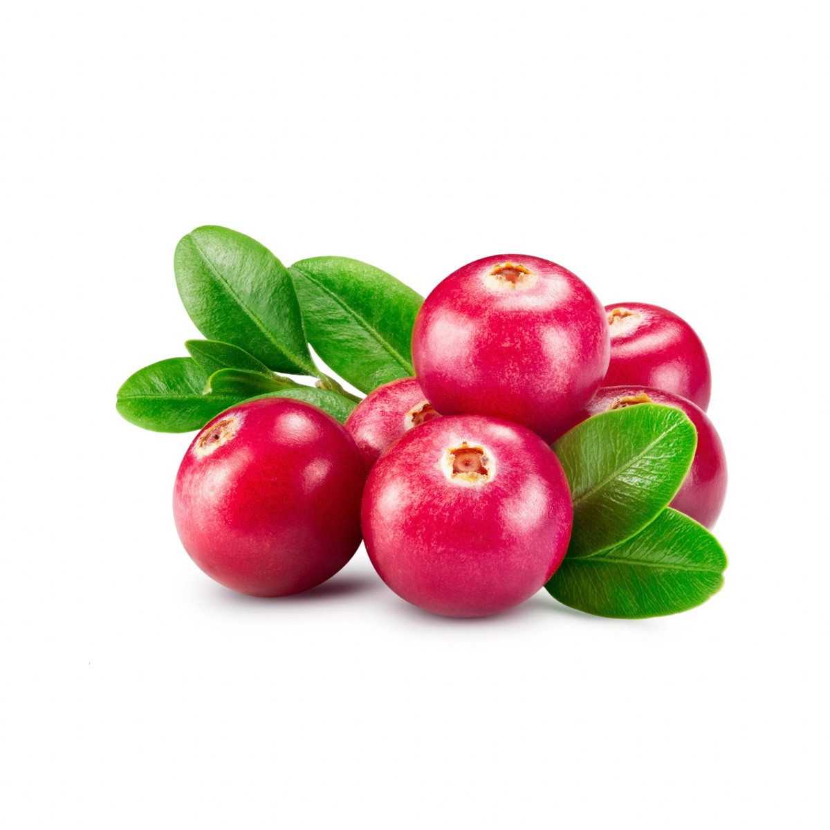 image for crop 'Cranberry'