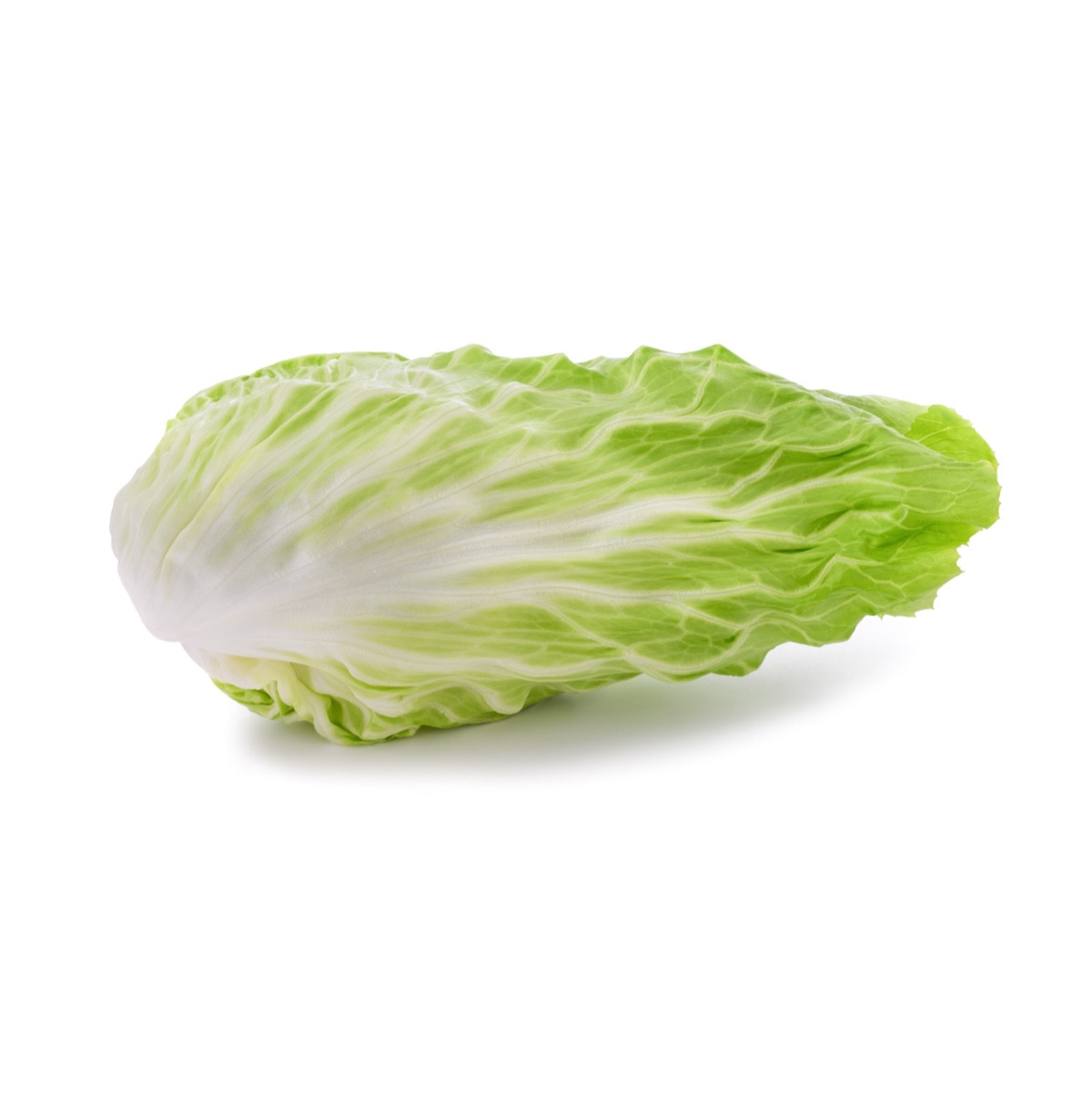 image for crop 'Salat (Zuckerhut)'