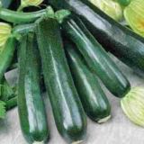 Zucchini